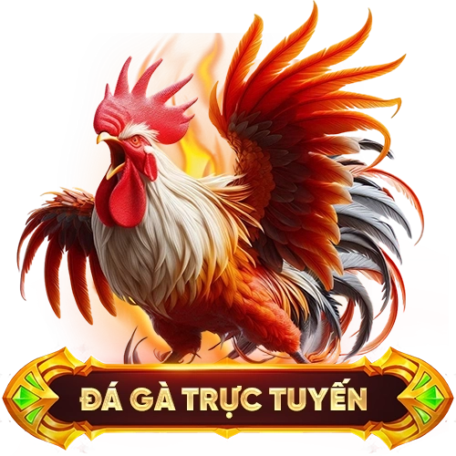 đá gà trực tuyến KING88